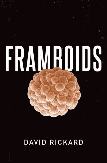 bokomslag Framboids