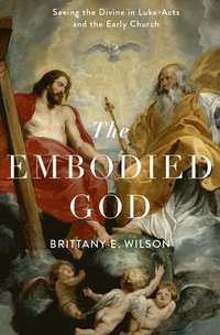 bokomslag Embodied God
