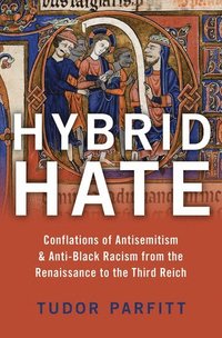 bokomslag Hybrid Hate