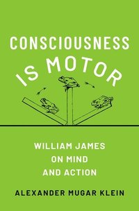 bokomslag Consciousness Is Motor