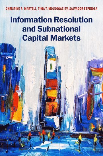 Information Resolution and Subnational Capital Markets 1