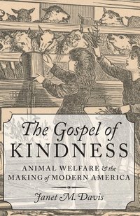 bokomslag The Gospel of Kindness
