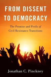 bokomslag From Dissent to Democracy