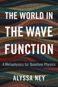 bokomslag The World in the Wave Function