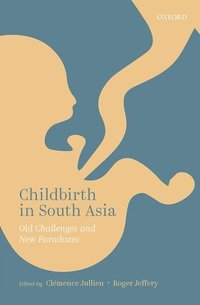 bokomslag Childbirth in South Asia