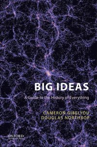 bokomslag Big Ideas