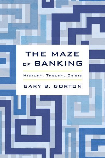 bokomslag The Maze of Banking