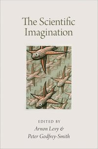 bokomslag The Scientific Imagination