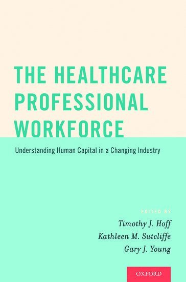 bokomslag The Healthcare Professional Workforce