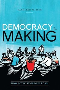 bokomslag Democracy in the Making