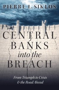 bokomslag Central Banks into the Breach