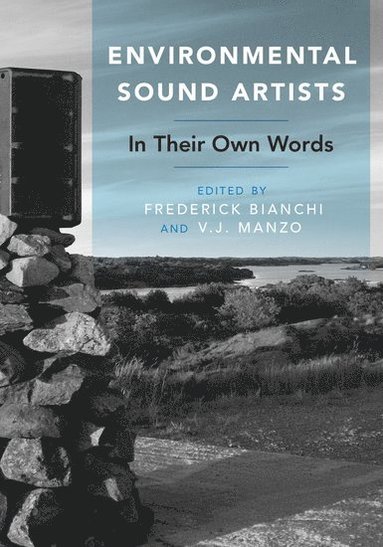 bokomslag Environmental Sound Artists