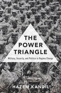 bokomslag The Power Triangle