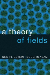 bokomslag A Theory of Fields