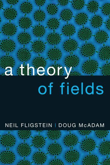 Neil Fligstein, Doug McAdam - A Theory of Fields, Häftad
