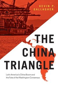 bokomslag The China Triangle