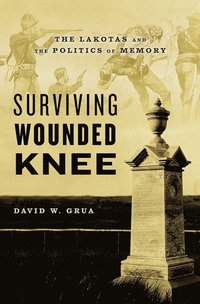 bokomslag Surviving Wounded Knee