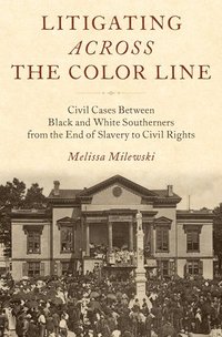 bokomslag Litigating Across the Color Line
