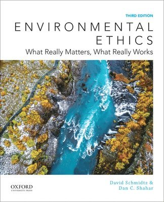 bokomslag Environmental Ethics: What Really Matters, What Really Works
