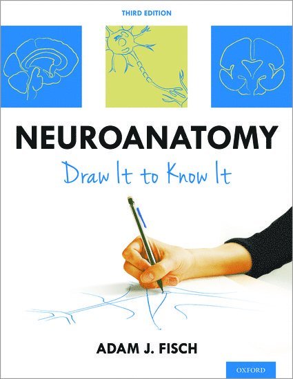 Neuroanatomy 1
