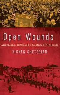 bokomslag Open Wounds