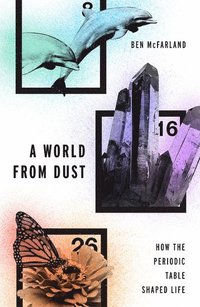 bokomslag A World From Dust