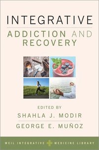 bokomslag Integrative Addiction and Recovery