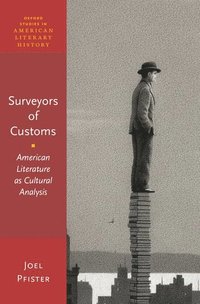 bokomslag Surveyors of Custom
