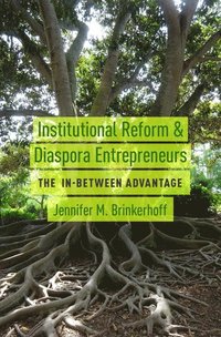 bokomslag Institutional Reform and Diaspora Entrepreneurs