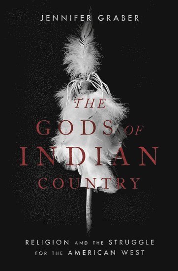bokomslag Gods of Indian Country