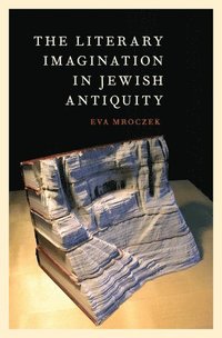 bokomslag The Literary Imagination in Jewish Antiquity