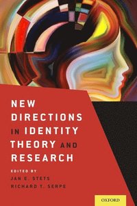 bokomslag New Directions in Identity Theory and Research