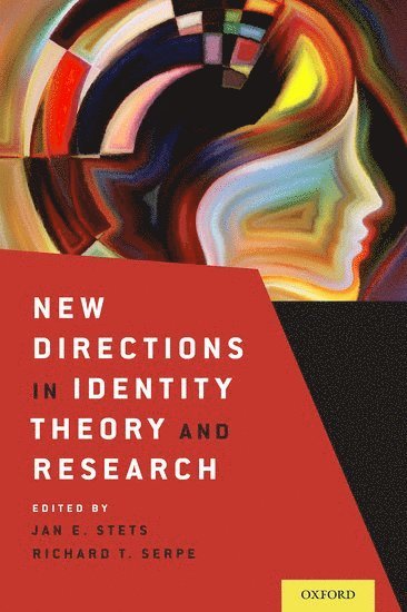 bokomslag New Directions in Identity Theory and Research
