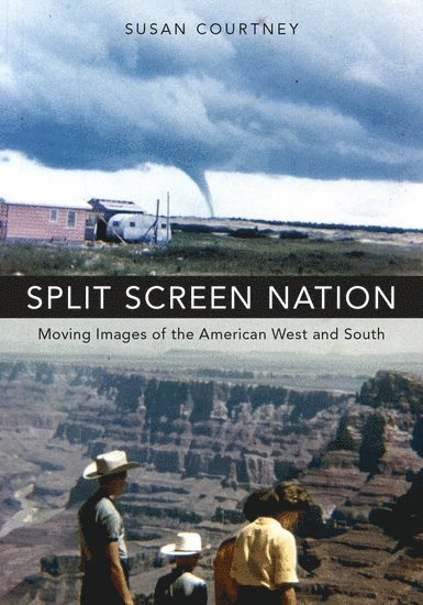 Susan Courtney, University of South Carolina) Courtney, Susan (Associate Professor, Film and Media Studies, Associate Professor, Film and Media Studies - Split Screen Nation, Häftad