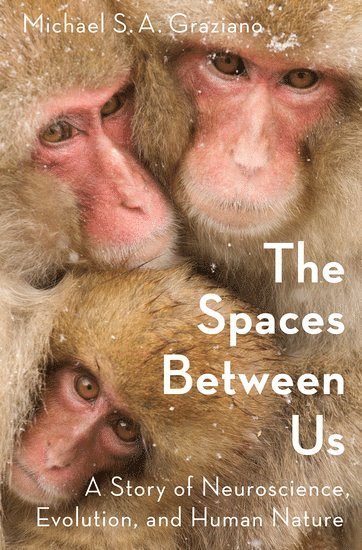 bokomslag The Spaces Between Us