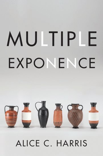 Multiple Exponence 1