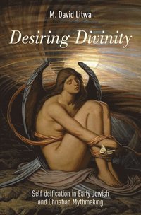 bokomslag Desiring Divinity