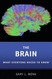 bokomslag The Brain