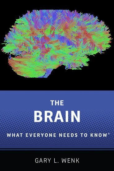 Gary L. Wenk - The Brain, Häftad