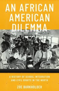 bokomslag An African American Dilemma