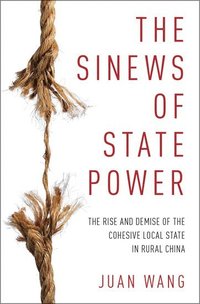 bokomslag The Sinews of State Power