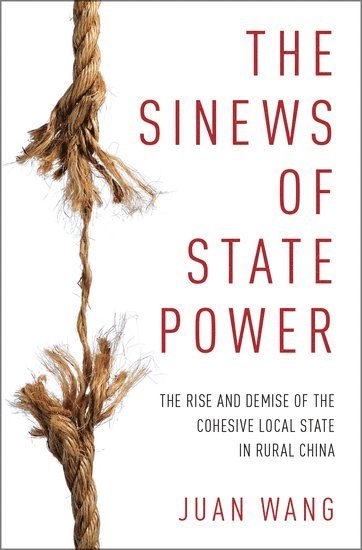 bokomslag The Sinews of State Power