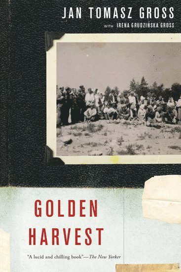 bokomslag Golden Harvest