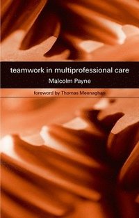 bokomslag Teamwork in Multiprofessional Care
