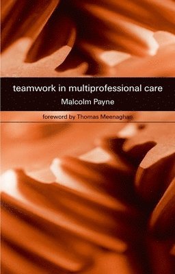 Malcolm Payne - Teamwork in Multiprofessional Care, Häftad
