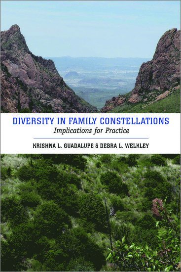 bokomslag Diversity in Family Constellations