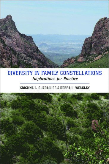Krishna L. Guadalupe, Debra L. Welkley, Sacramento) Guadalupe, Krishna L. (Professor of Social Work, Professor of Social Work, California State University, Sacramento) Welkley, Debra L. (Lecturer, Lecturer, California State University, Krishna L Guadalupe, Debra L Welkley - Diversity in Family Constellations, Häftad