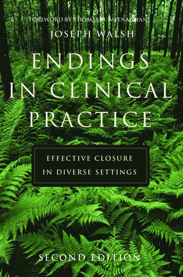bokomslag Endings in Clinical Practice, Second Edition