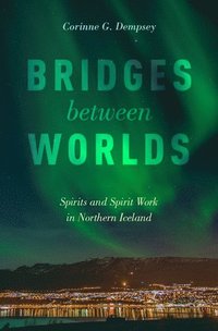 bokomslag Bridges between Worlds