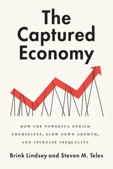 bokomslag The Captured Economy